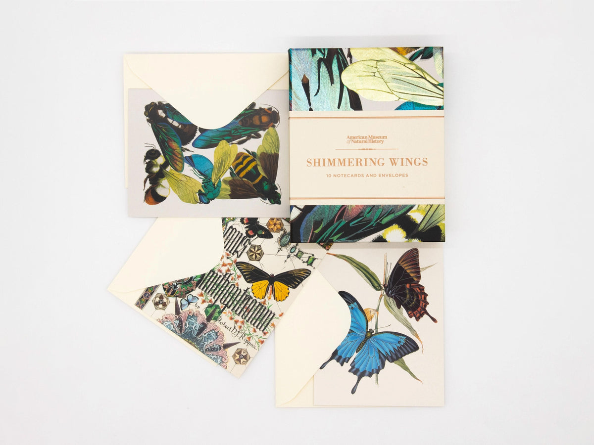 Shimmering Wings Notecards - Set of 10