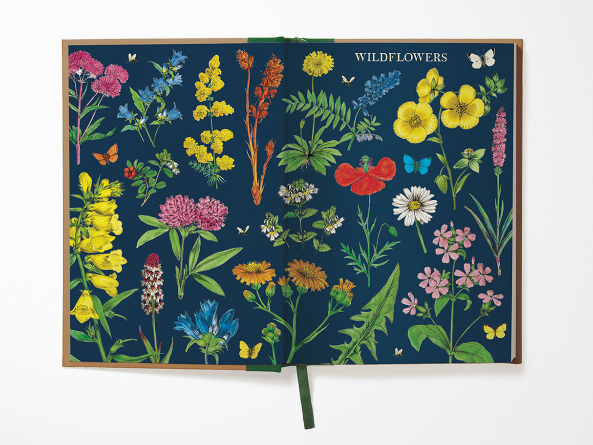 Wildflowers Window Journal