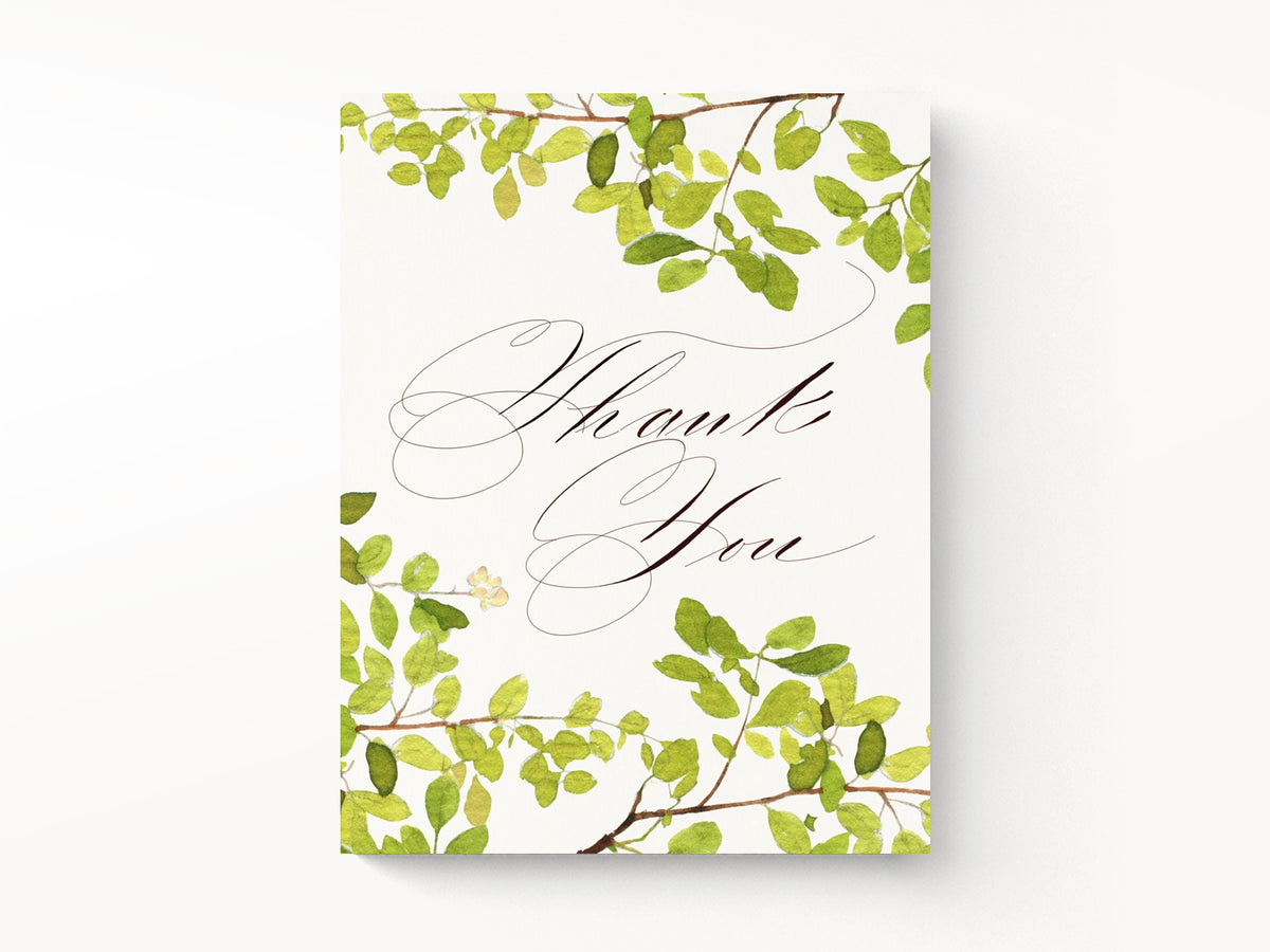 Scripted Thank You Greeting Cards, Box of 8