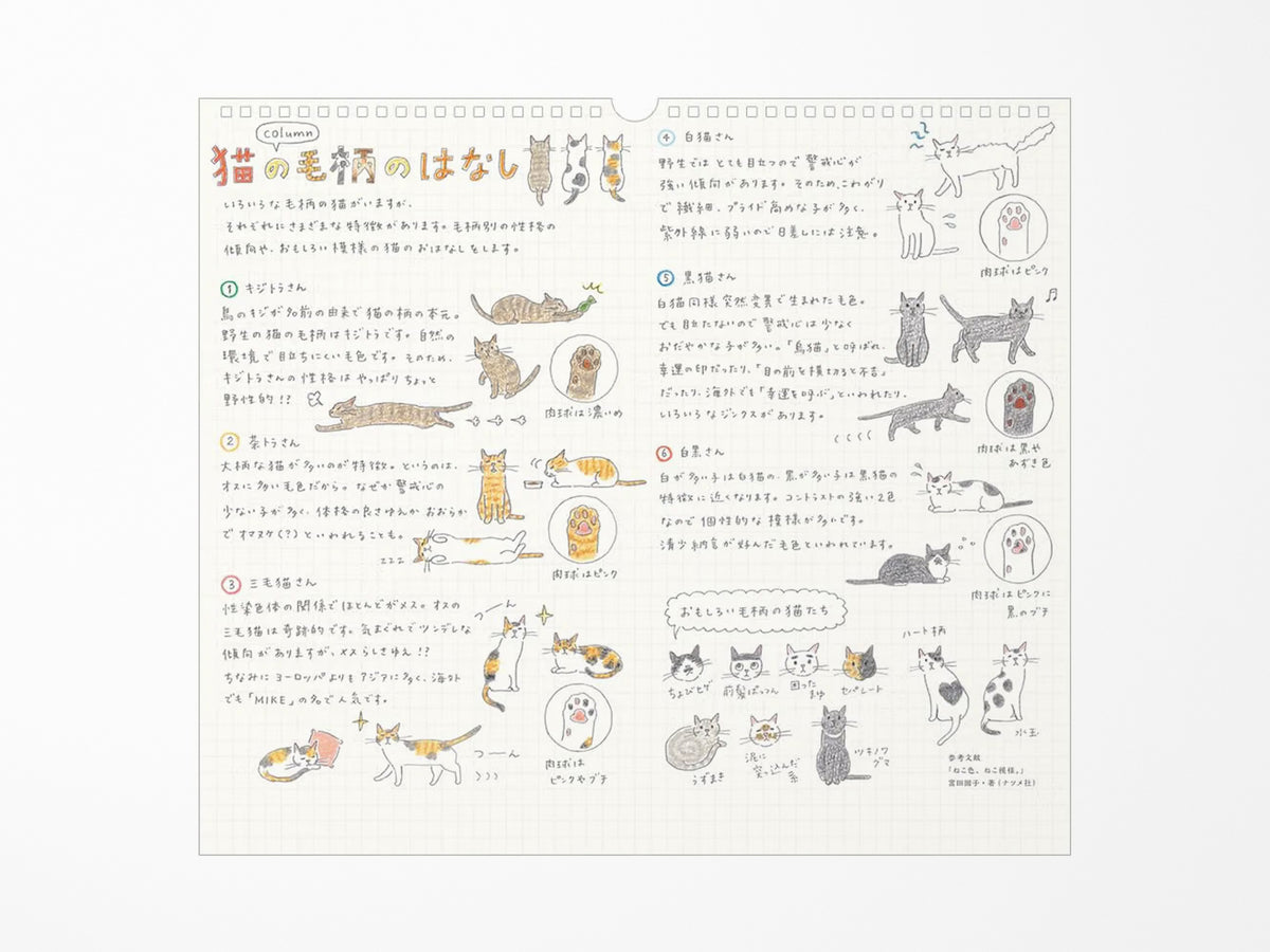 Midori Wall Calendar 2027 - Cat