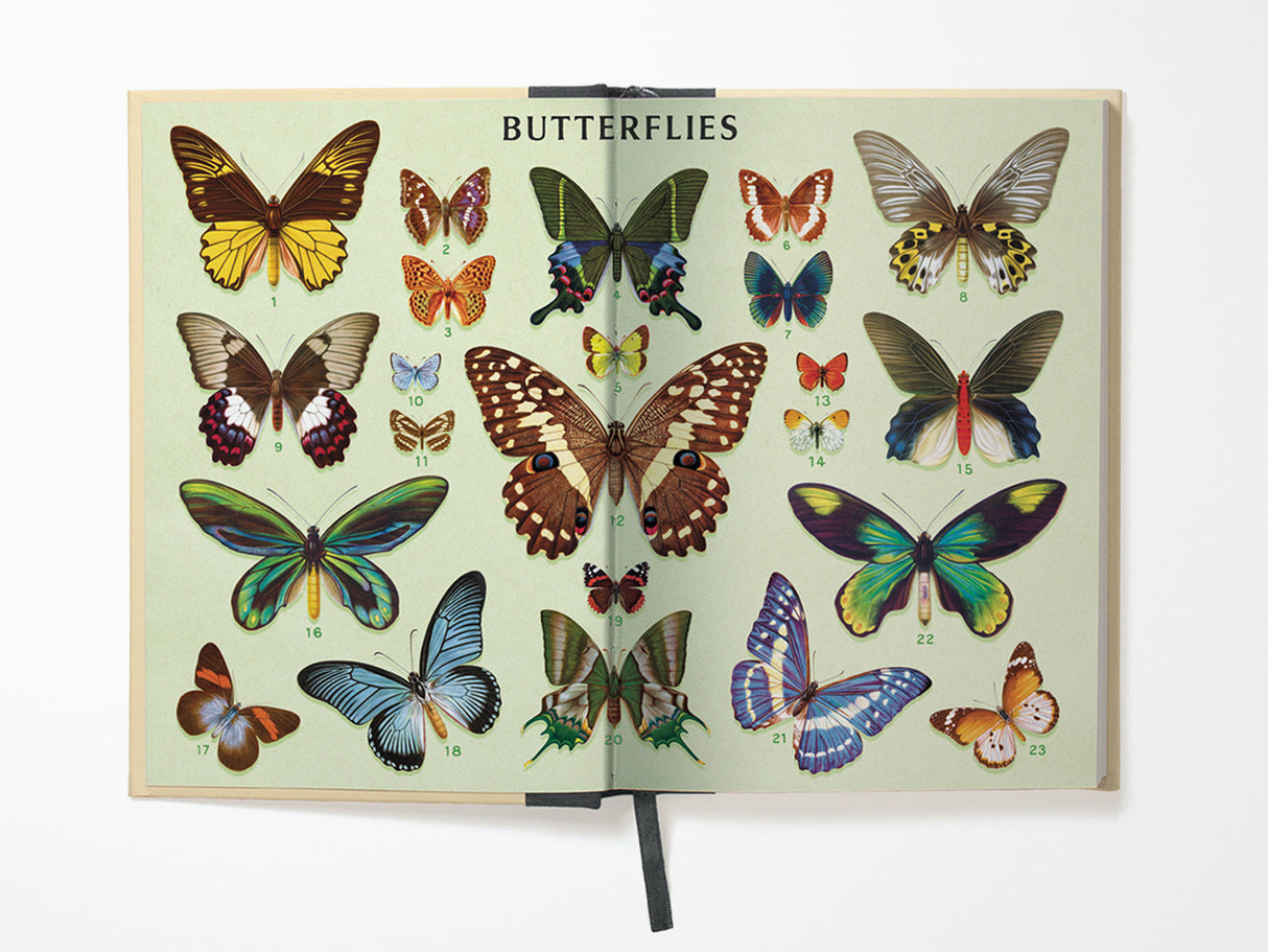 Butterflies Window Journal
