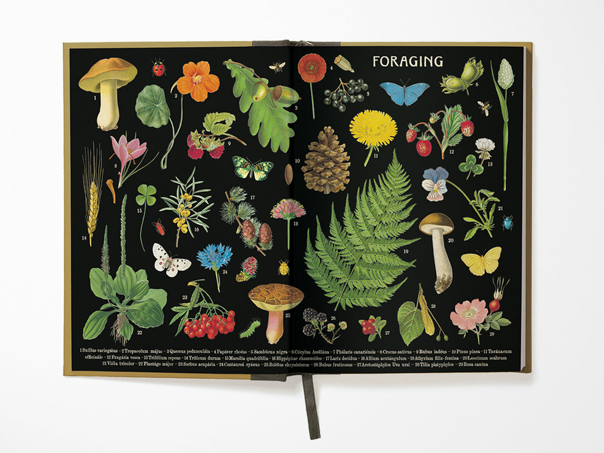 Foraging Window Journal