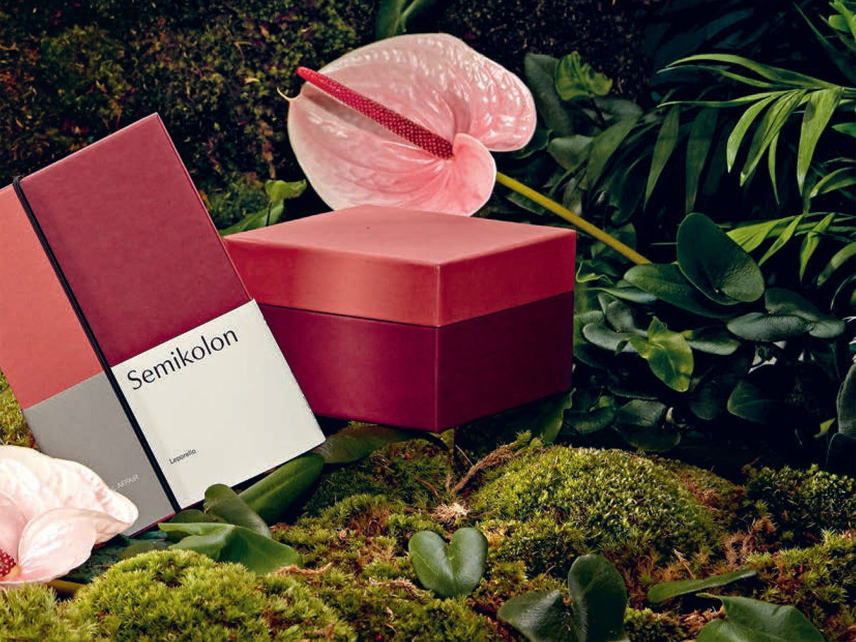 A Natural Affair Color Block Leporello Photo Album - Desert