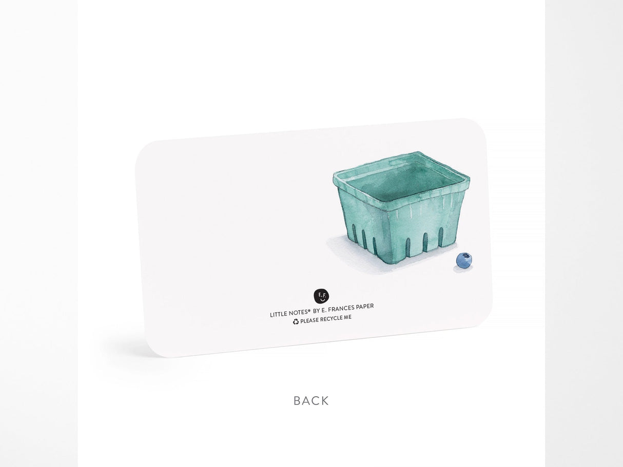 E. Frances Blueberry Little Notes® New 55 Count