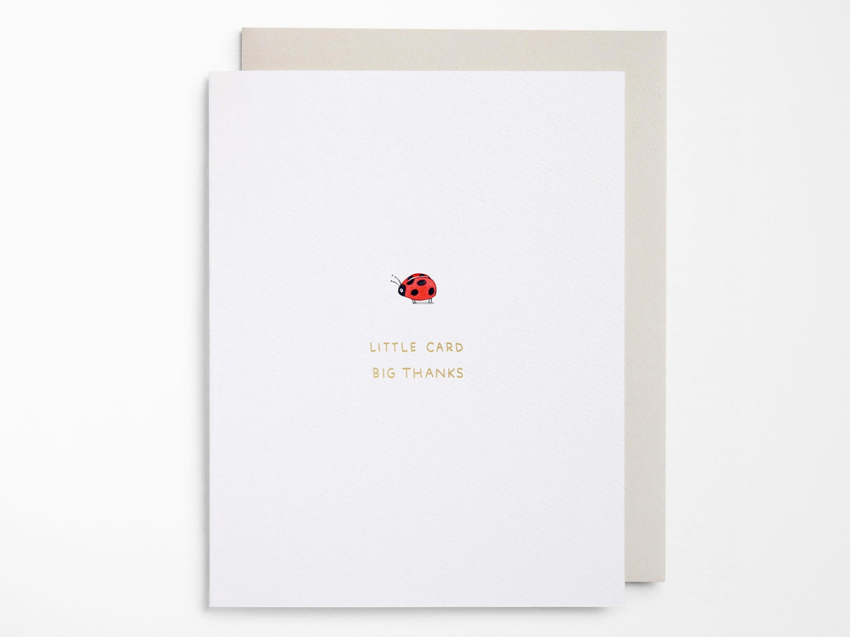 Little Card Big Thanks Greeting Cards Box of 6