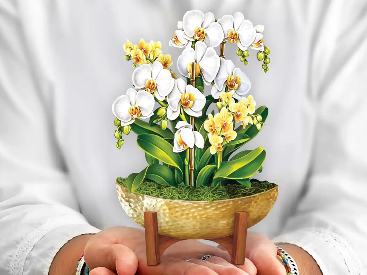 Serenity Orchid Pop Up Greeting Bouquet - Mini