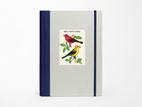 Bird Watching Window Journal