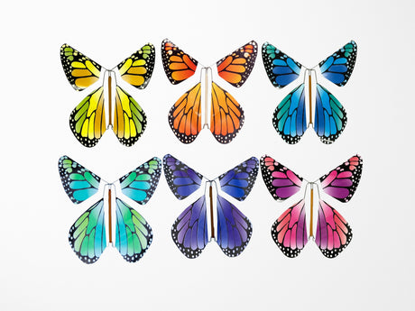 Flying Magic Butterfly® - Rainbow - Assorted Colors