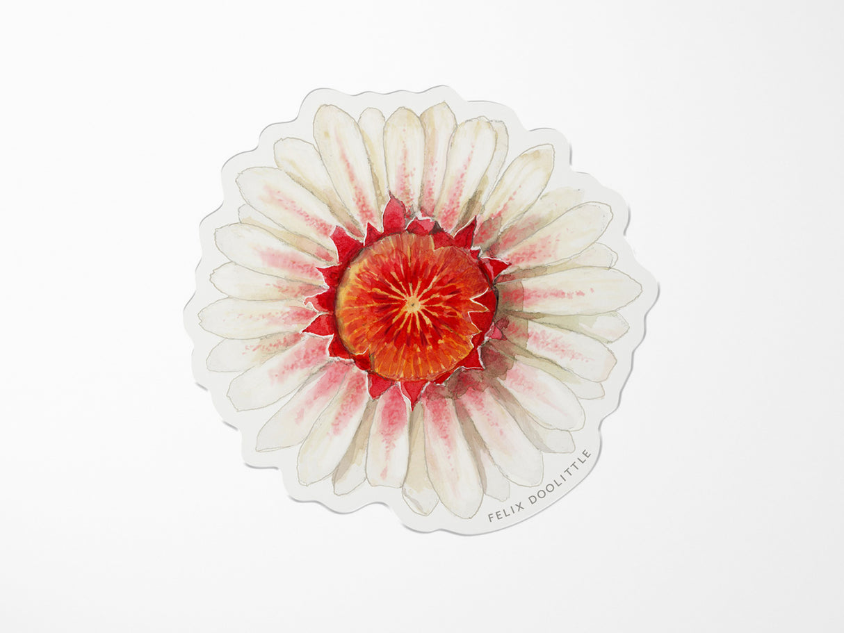 Victoria Water Lily Vinyl Sticker