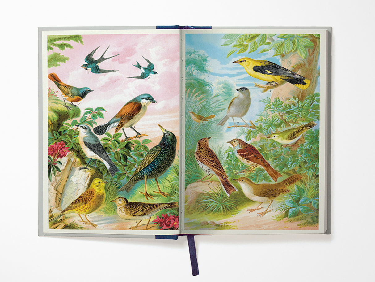 Bird Watching Window Journal