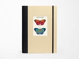 Butterflies Window Journal