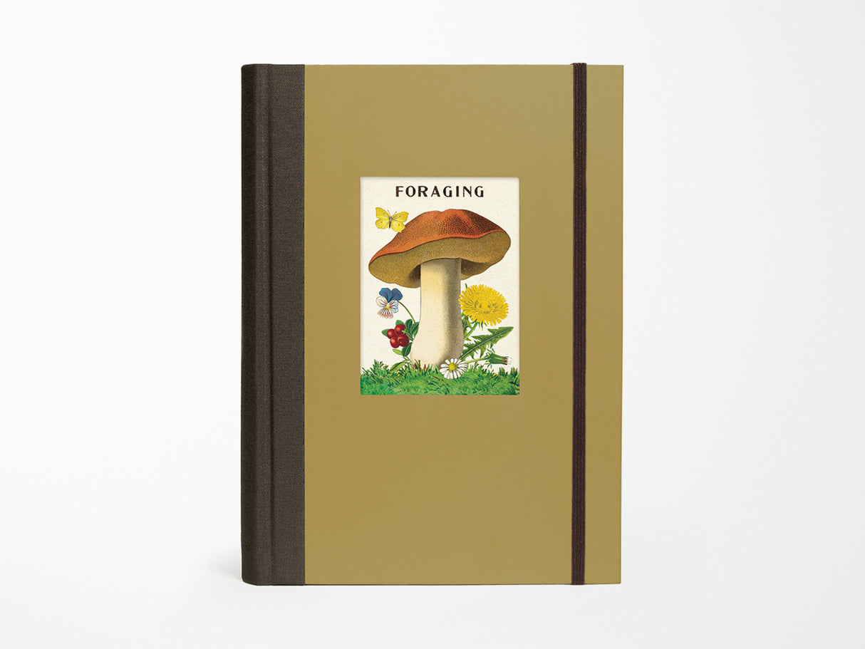 Foraging Window Journal