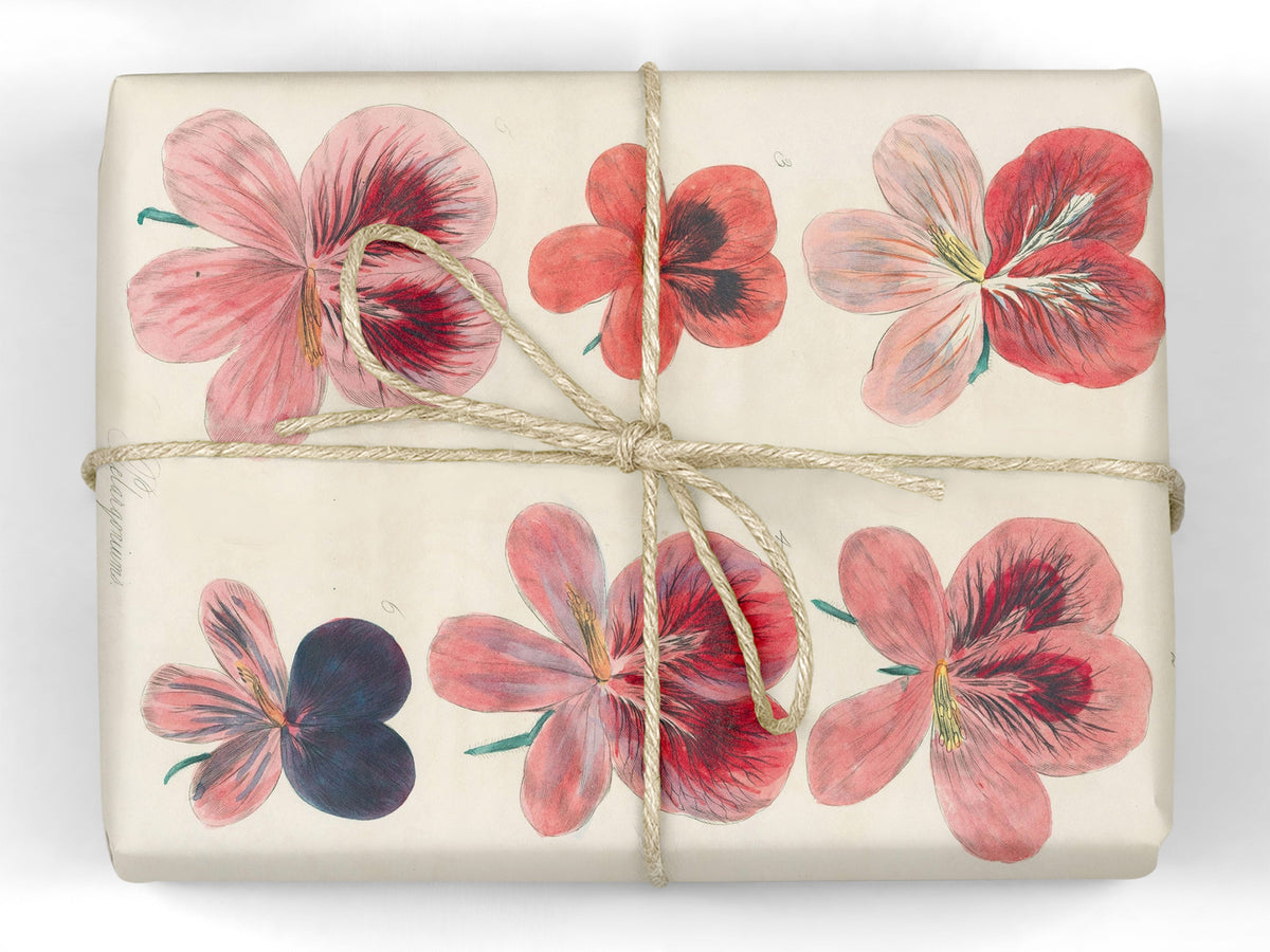 John Derian Wrapping Paper Book