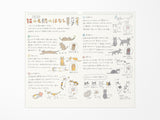 Midori Wall Calendar 2027 - Cat