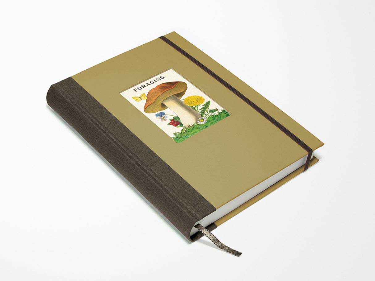 Foraging Window Journal