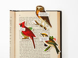 Salty Birds Magnetic Bookmark Set