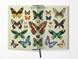 Butterflies Window Journal