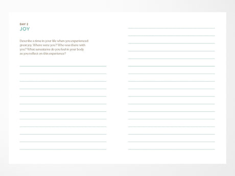 Abundance: A Guided Journal for Living a Full Life