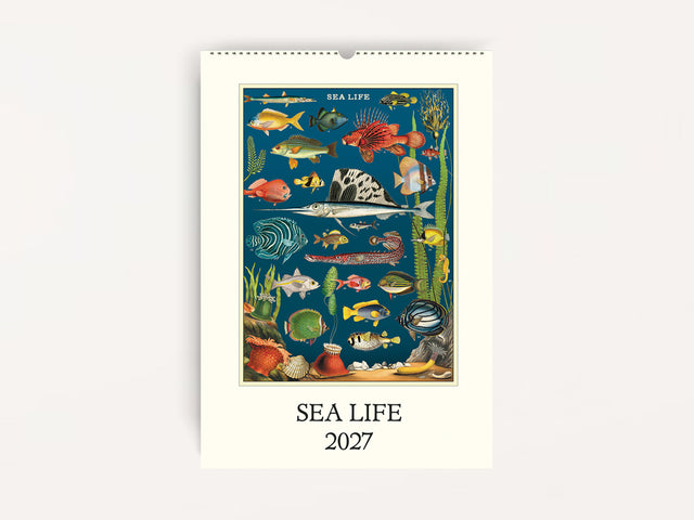 Cavallini 2027 WALL Calendar - Sea Life