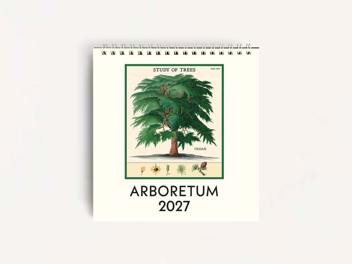 Cavallini 2027 DESK Calendar - Arboretum
