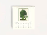 Cavallini 2027 DESK Calendar - Arboretum