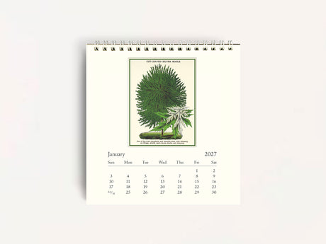 Cavallini 2027 DESK Calendar - Arboretum