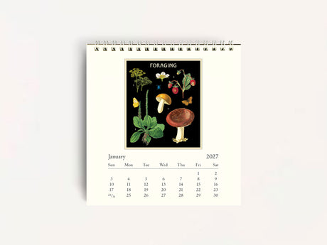 Cavallini 2027 DESK Calendar - Foraging
