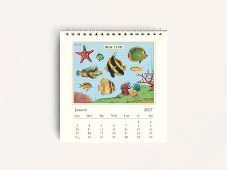 Cavallini 2027 DESK Calendar - Sea Life
