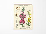 Cavallini Mini Vintage Notebooks Set of 3 - Wildflowers