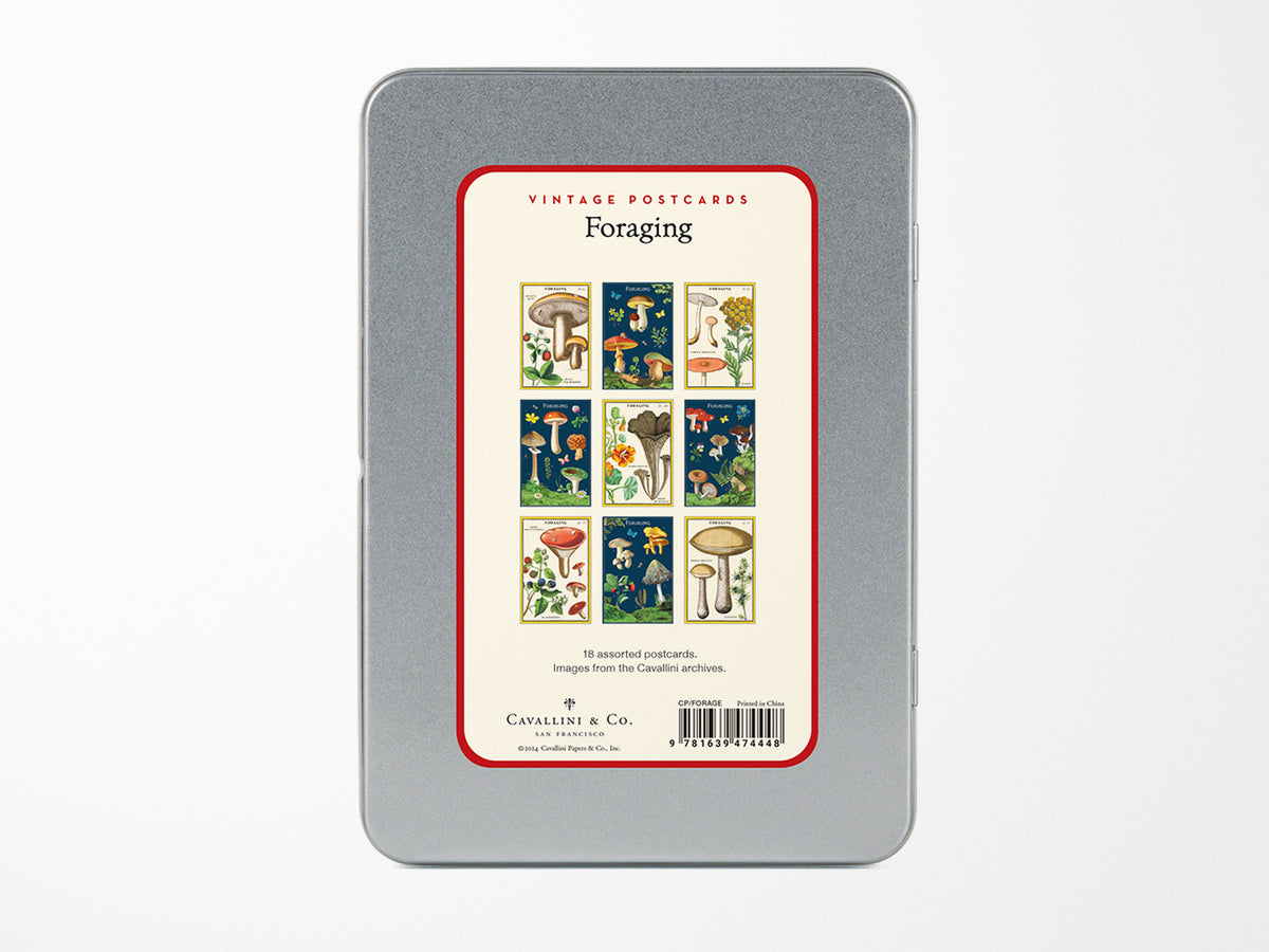 Cavallini Vintage Postcards Set - Foraging