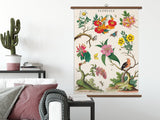 Cavallini Vintage School Chart - Floreale