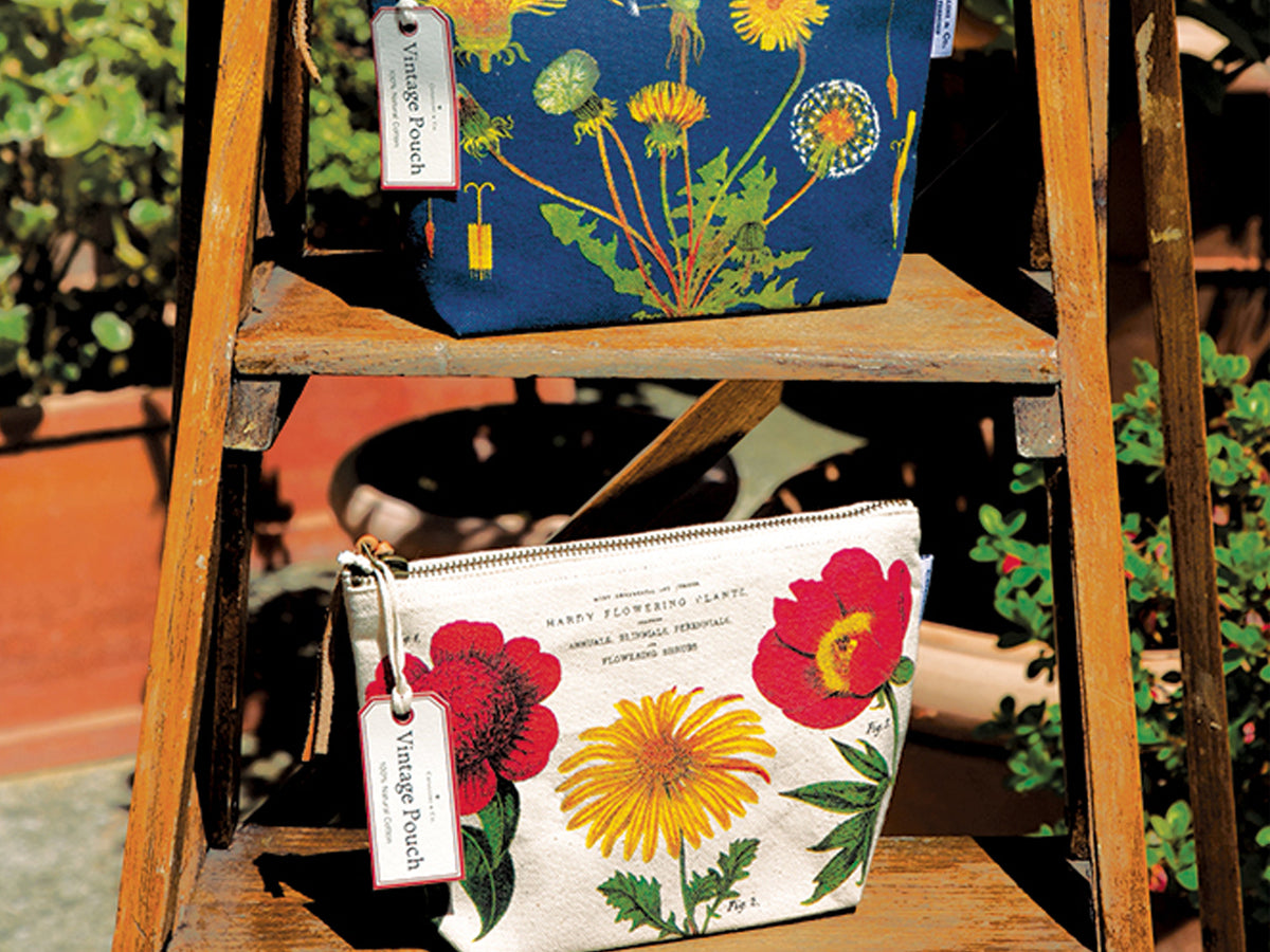 Cavallini Vintage Zipper Pouch - Celestial
