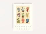 Cavallini 2027 WALL Calendar - Sea Life