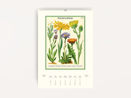 Cavallini 2027 WALL Calendar - Wildflowers