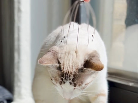 Copper Head Massager