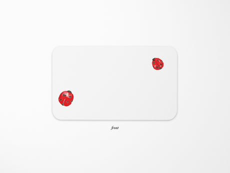 E. Frances Little Notes® - Ladybug New 55 Count