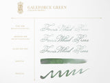 Ferritales Galeforce Green Fountain Pen Ink*