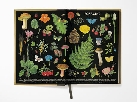 Foraging Window Journal
