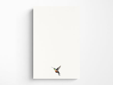 Iridescent Hummingbird - Letter Writing Paper - Bird