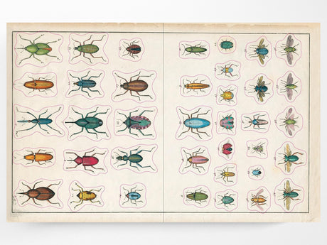 John Derian Sticker Book