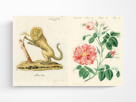 John Derian Sticker Book II
