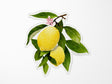 Lemon Branch Vinyl Sticker