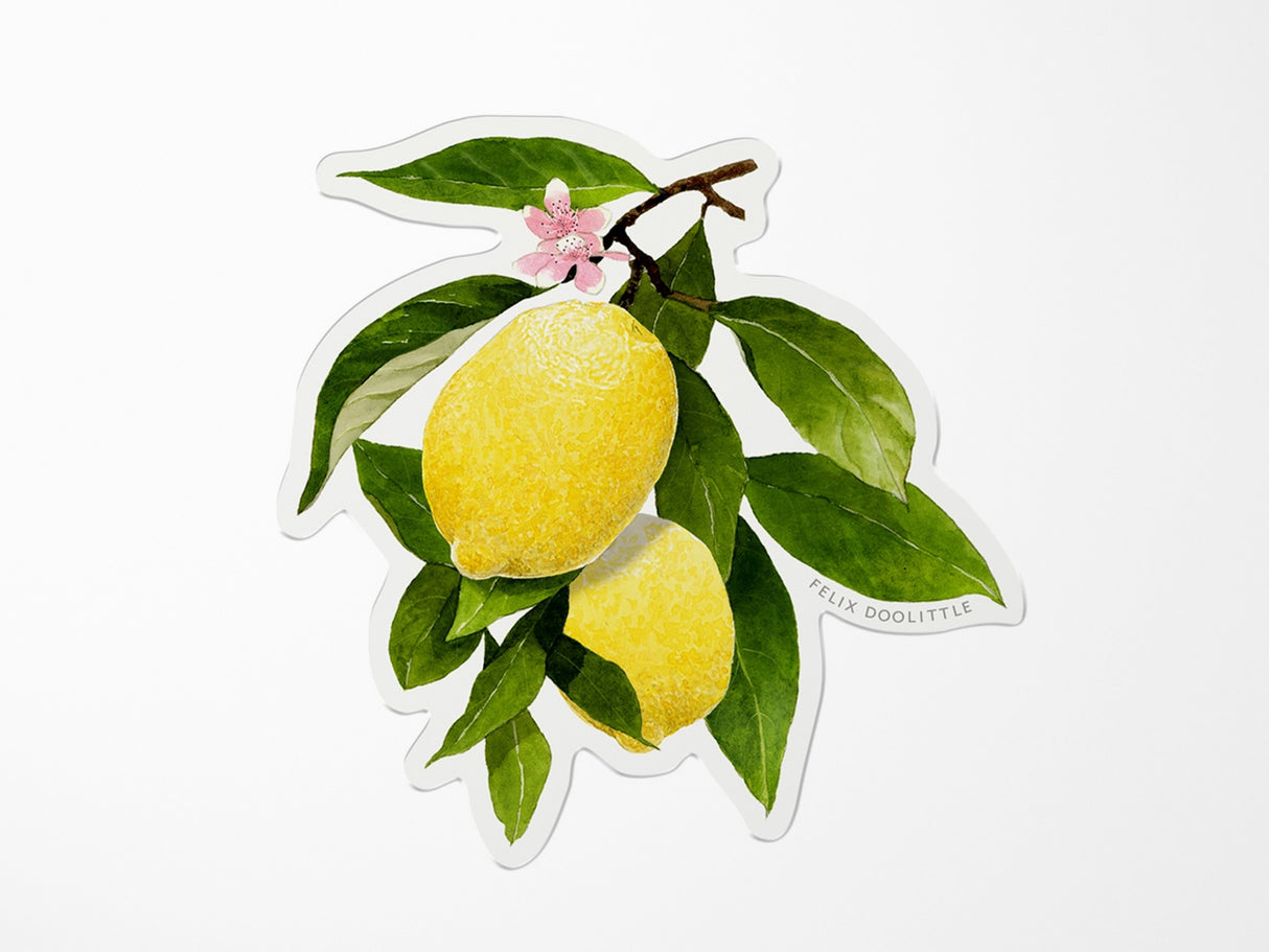 Lemon Branch Vinyl Sticker