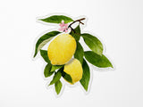 Lemon Branch Vinyl Sticker