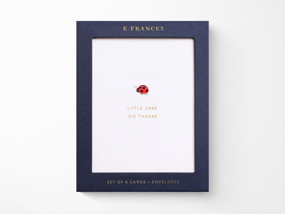 Little Card Big Thanks Greeting Cards Box of 6