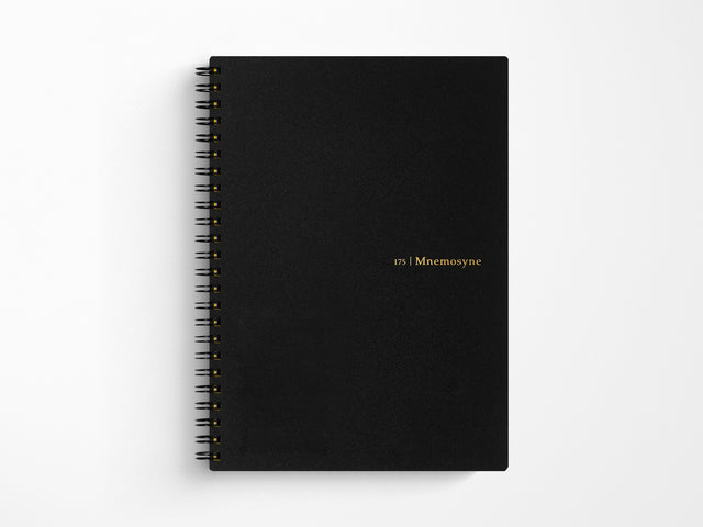 Maruman Mnemosyne Notebook N175 - A5 8mm Lined with Vertical Divider