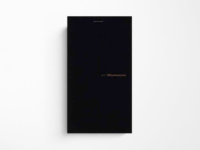 Maruman Mnemosyne Tall Slim Memo Pad N177 - 5MM Grid