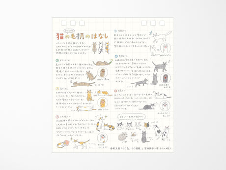 Midori Desk Calendar 2027 - Small Cat