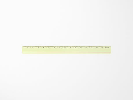 Midori Lens Magnifying Ruler - Yellow
