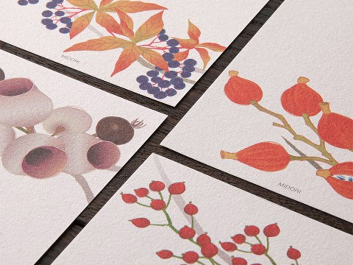 Midori Seasonal Message Letter Pad - 591 Autumn Wreath